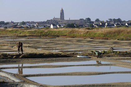 France, Loire-Atlantique (44), la Presqu'île de Guérande, les marais salants à Batz-sur-Mer