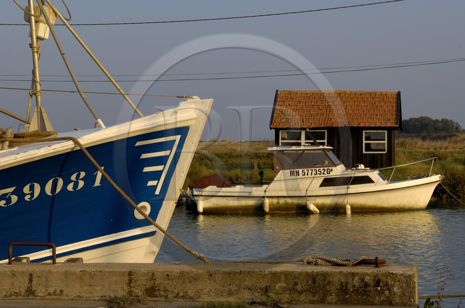 France, Charente-Maritime (17), bassin de Marennes-Oléron, La Tremblade, port de la grève