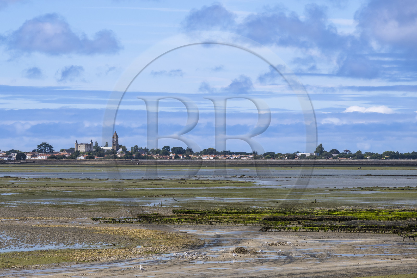 France, Vendée (85), île de Noirmoutier, Noirmoutier-en-l'Ile, le château et l'église Saint-Philbert, la mer à marée basse au premier plan