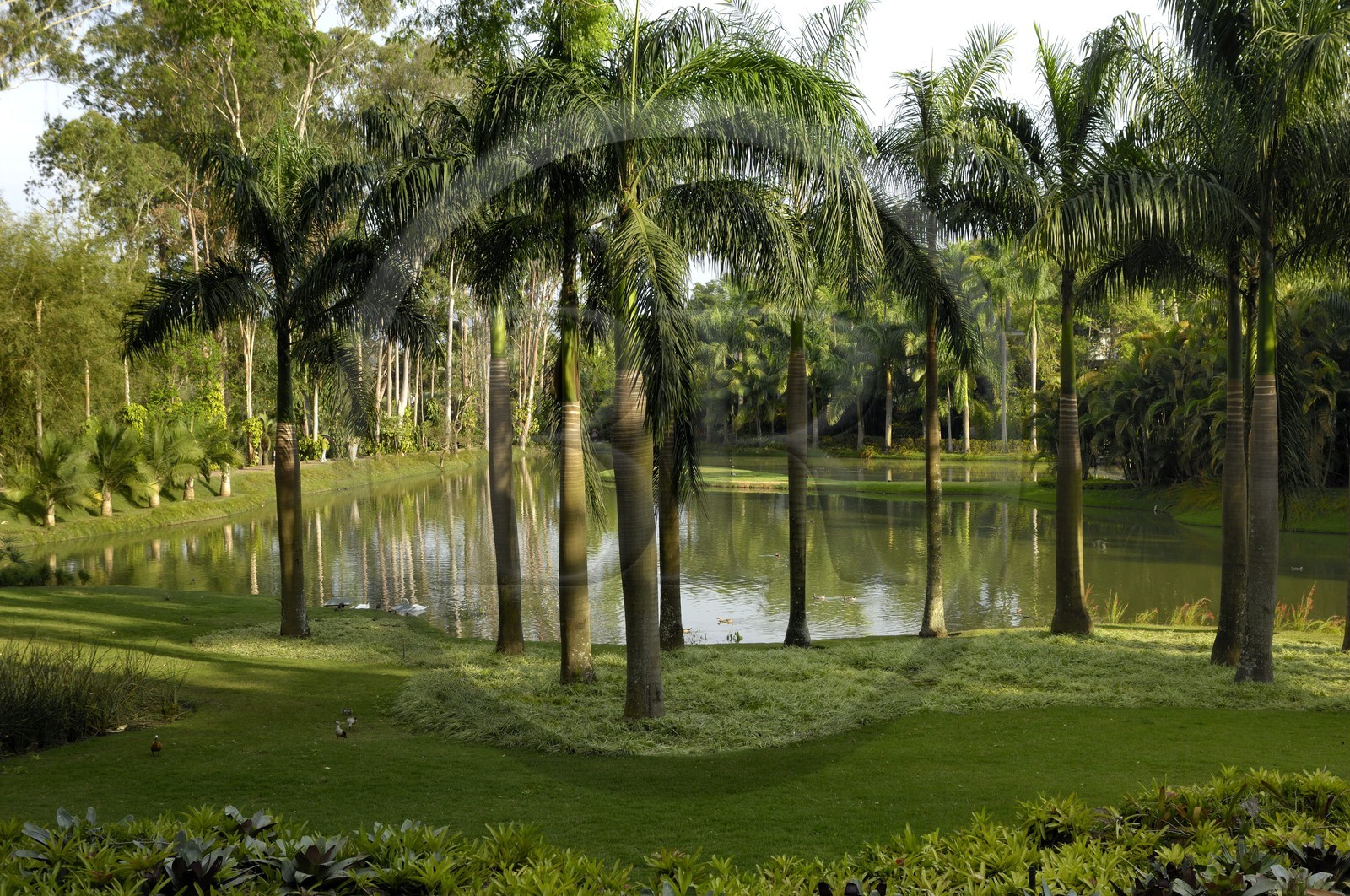 Brésil, Etat du Minas Gerais, région de Belo Horizonte, Brumadinho, le lac du centre d'art contemporain Inhotim
