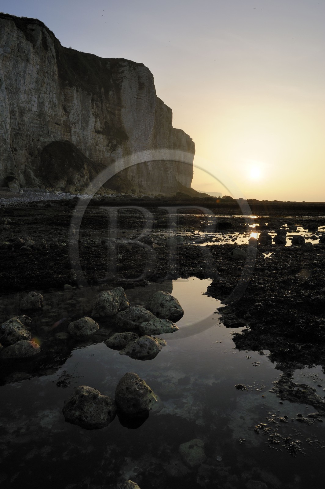 France, Seine-Maritime, Cote d'Albatre, Vattetot-sur-Mer, the cliffs and the beach at low tide