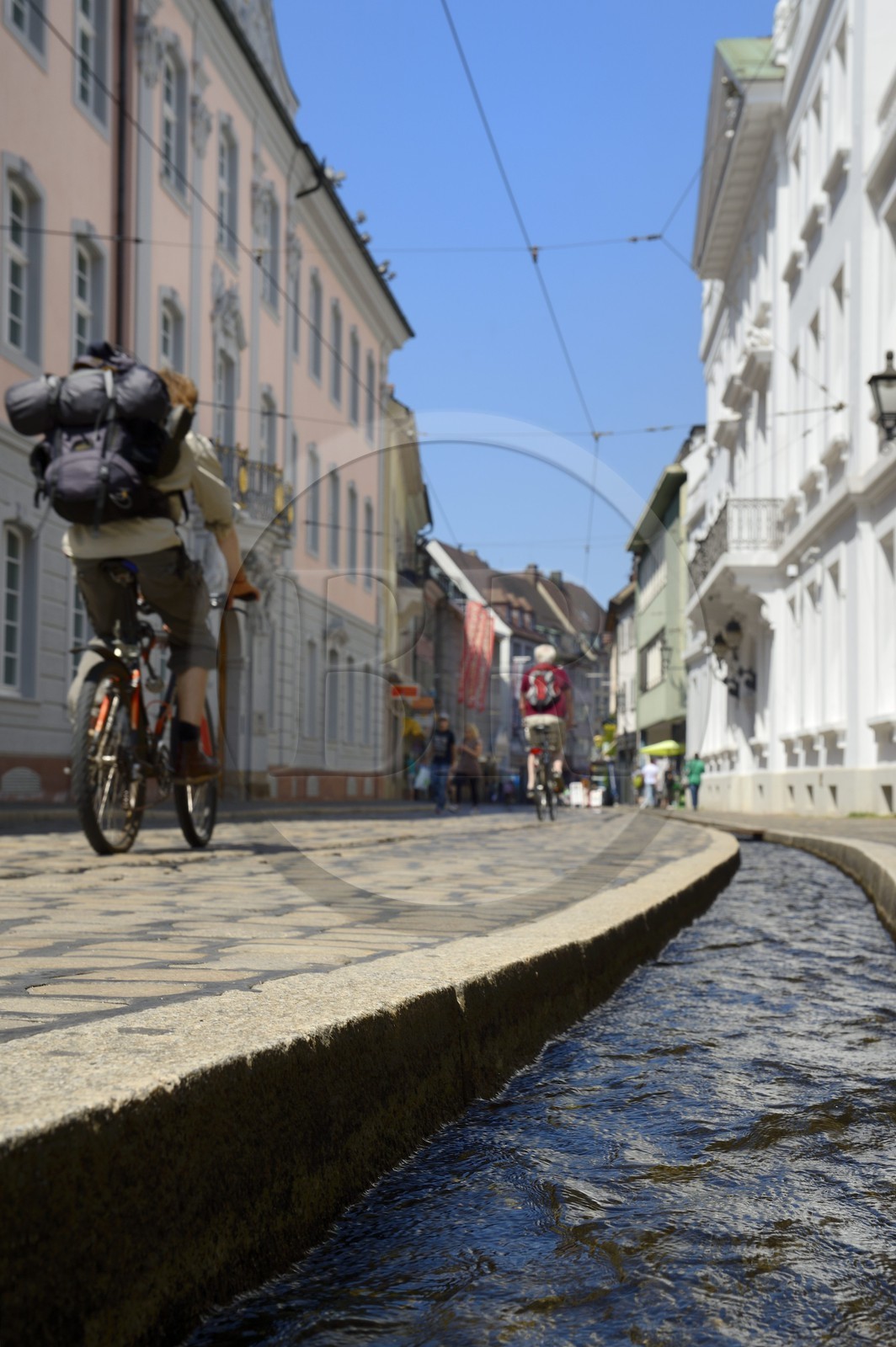 Allemagne, Bade-Wurtemberg, Fribourg en Brisgau, Salzstrasse, un des Bächle qui sont des petits caniveaux ouverts qui bordent les trottoirs de la vieille ville