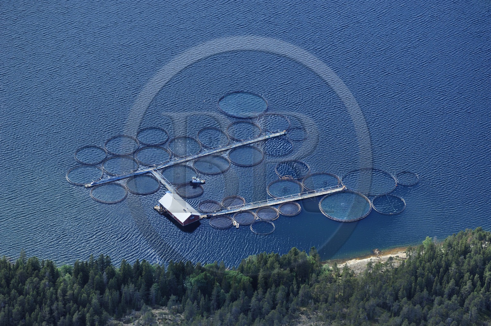 Sweden, Västernorrlands, region of Bjästa, fishing industry, fish breeding in the Baltic Sea (aerial view)