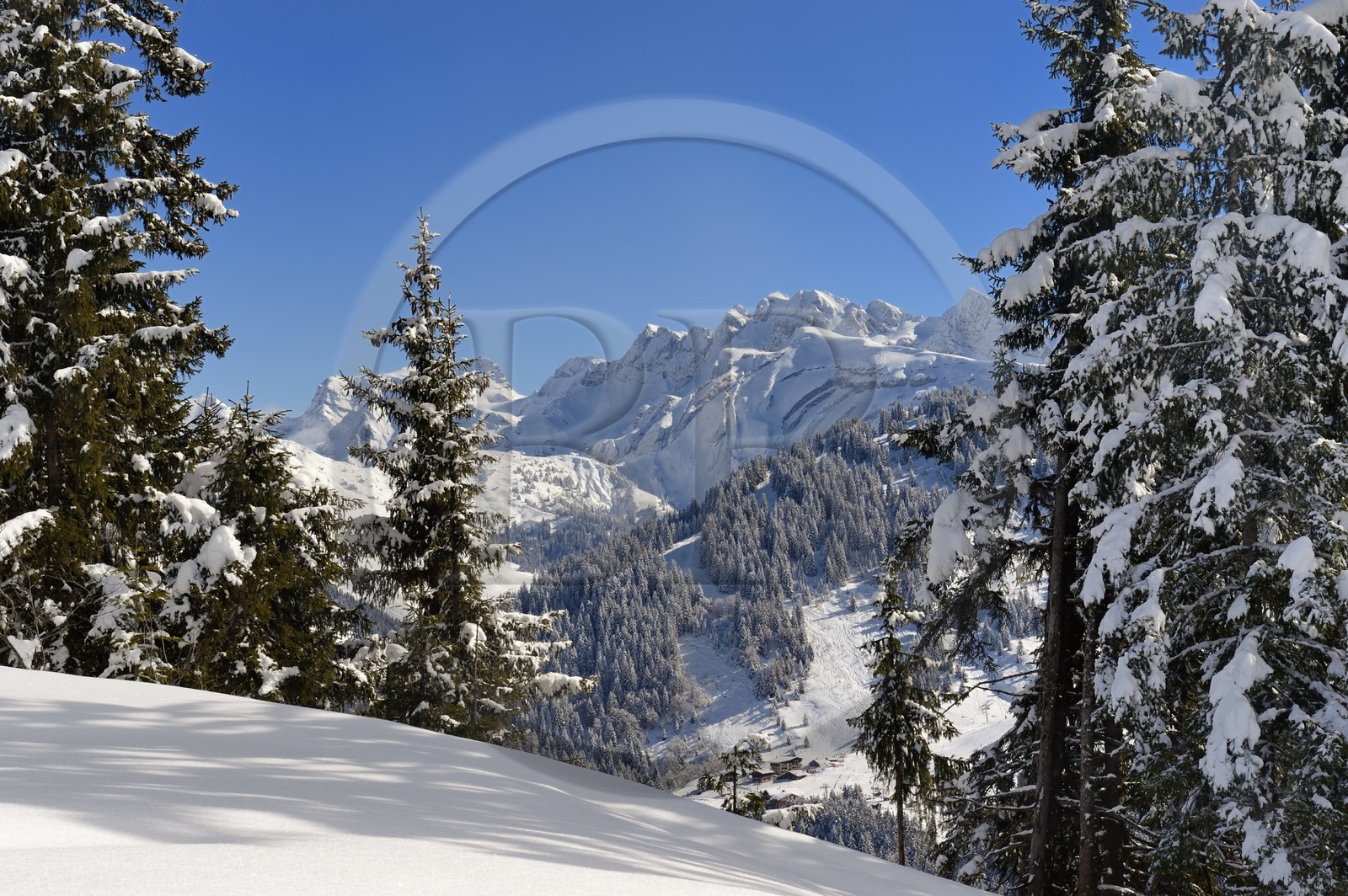 France, Haute-Savoie (74), Morzine, la vallée d'Aulps, massif du Chablais, domaine skiable des Portes du Soleil,