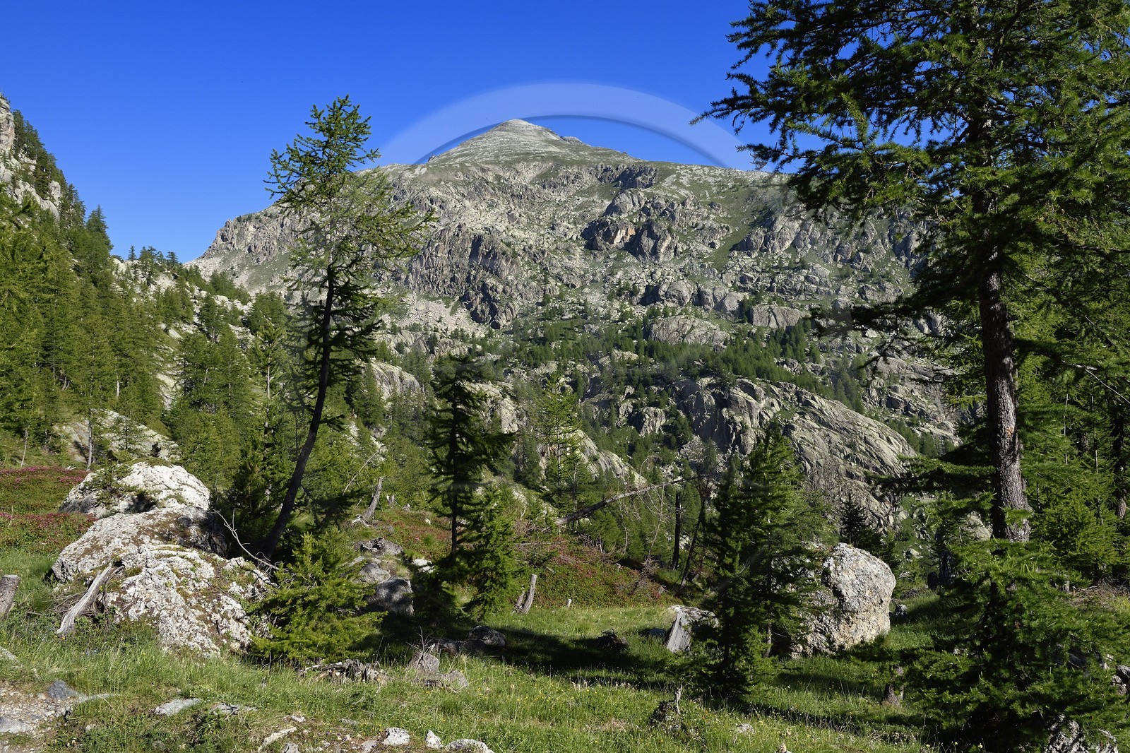 France, Alpes-Maritimes (06), parc national du Mercantour, vallon de la Minière en contrebas de la Vallée des Merveilles et le Mont Bégo (2872m) en arrière plan