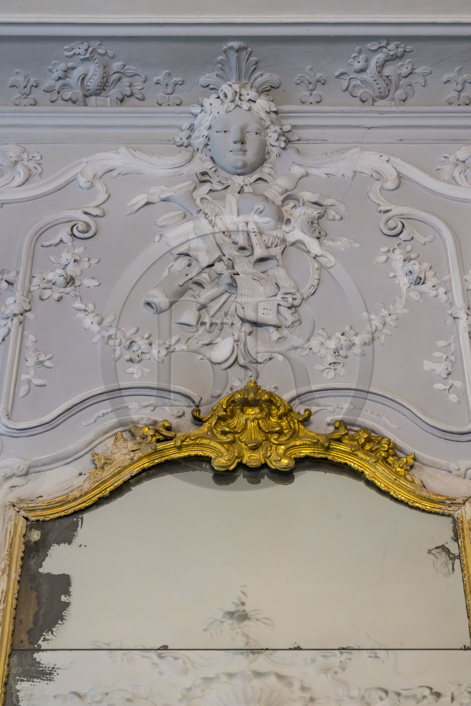 France, Herault, Lavérune, Chateau de l'Engarran, private mansion from the second half of the 18th century called Montpellier Folie, interior decoration molded and sculpted in gypsum