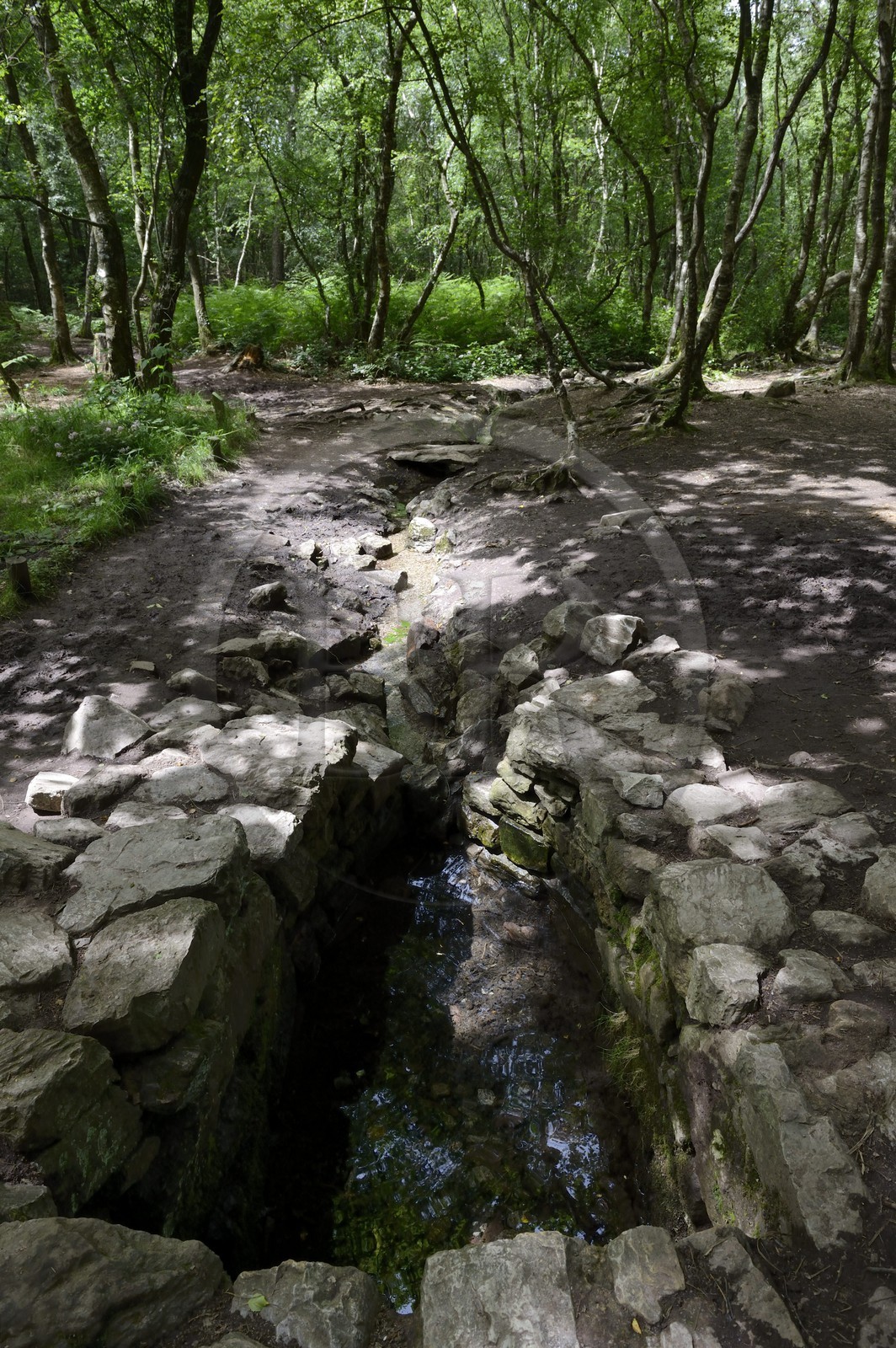 France, Ille-et-Vilaine (35), forêt de Brocéliande, la fontaine de Barenton