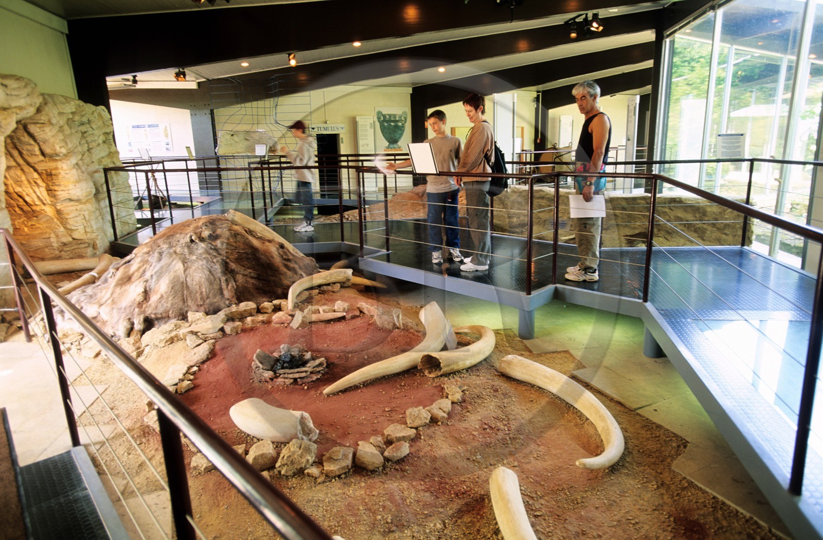 France, Cote d'Or, archeoDrome of Burgundy, museum on the motorway