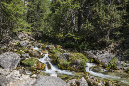 France, Hautes Alpes (05), Névache, ruisseau de la Vallée Étroite à la frontière italienne