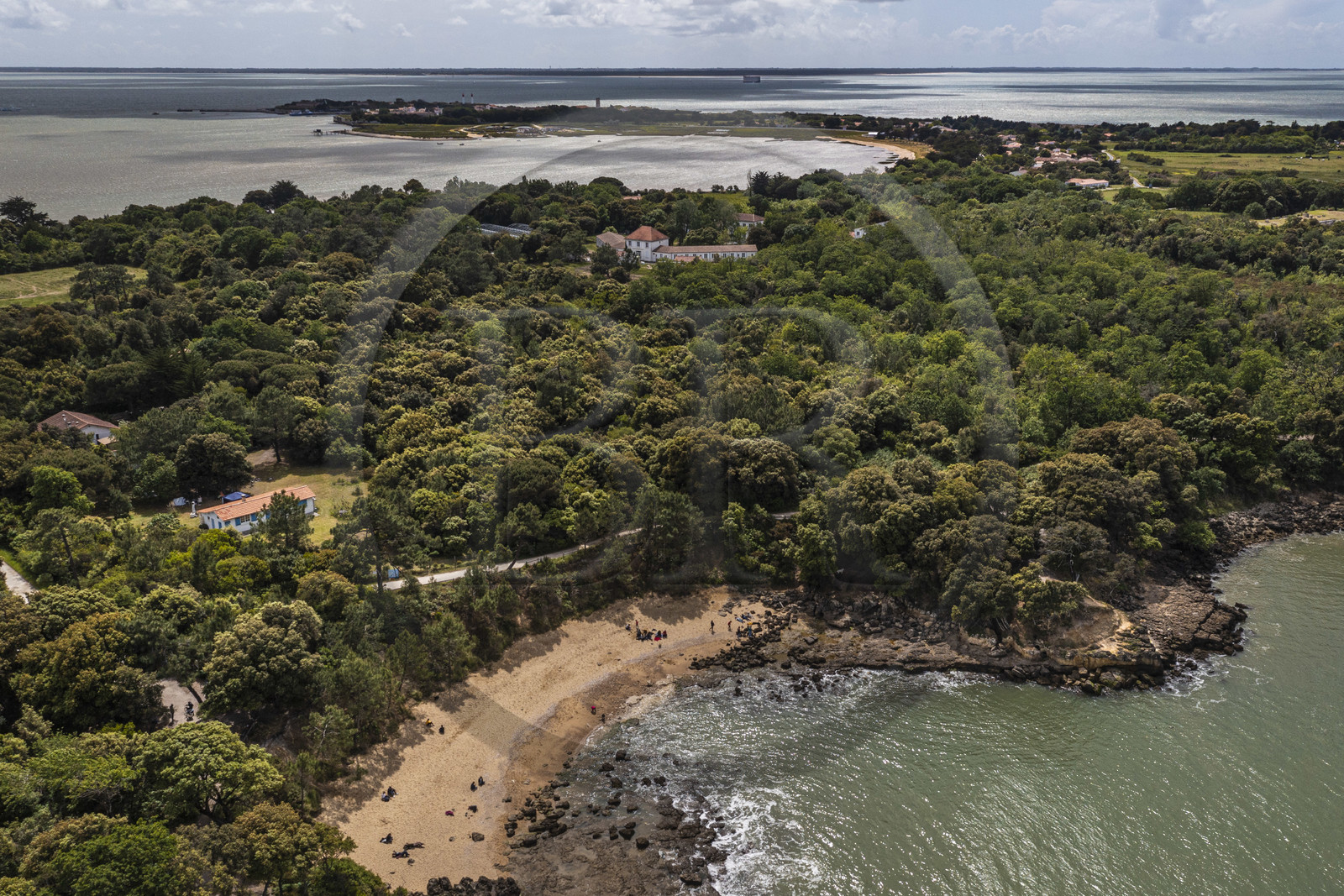 France, Charente-Maritime,  Ile d'Aix (Aix Island), the cove of Sables d'Or beach (aerial view)