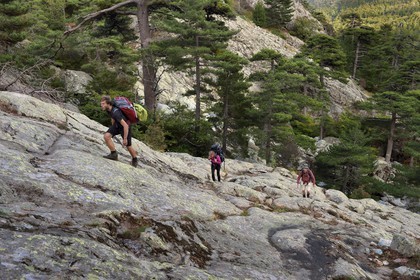 France, Haute-Corse (2B), Vivario, GR 20, étape entre le refuge de l'Onda et Vizzavona, foret de Vizzavona, les cascades des anglais, groupe de cascades dans la vallée de l'Agnone au pied du Monte d'Oro