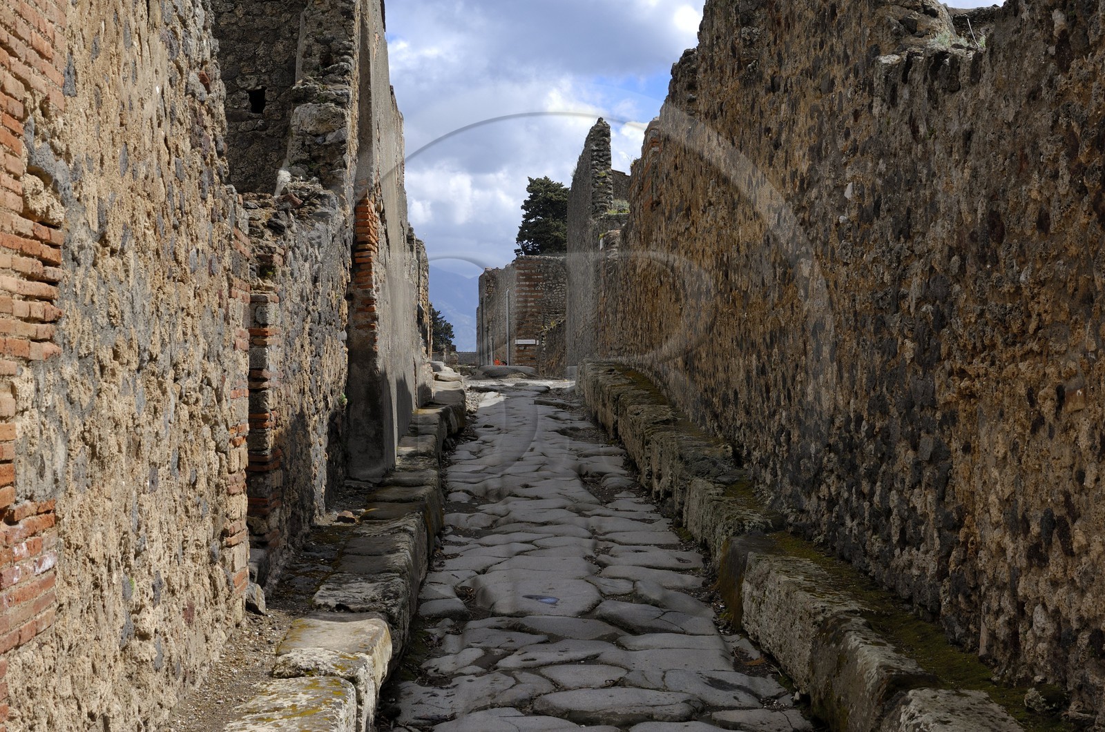 Italie, Campanie, Pompei, site archéologique classé Patrimoine Mondial de l'UNESCO, ancienne rue pavée de la ville