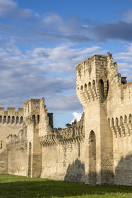 France, Vaucluse (84), Avignon, les remparts sur les bords du Rhône
