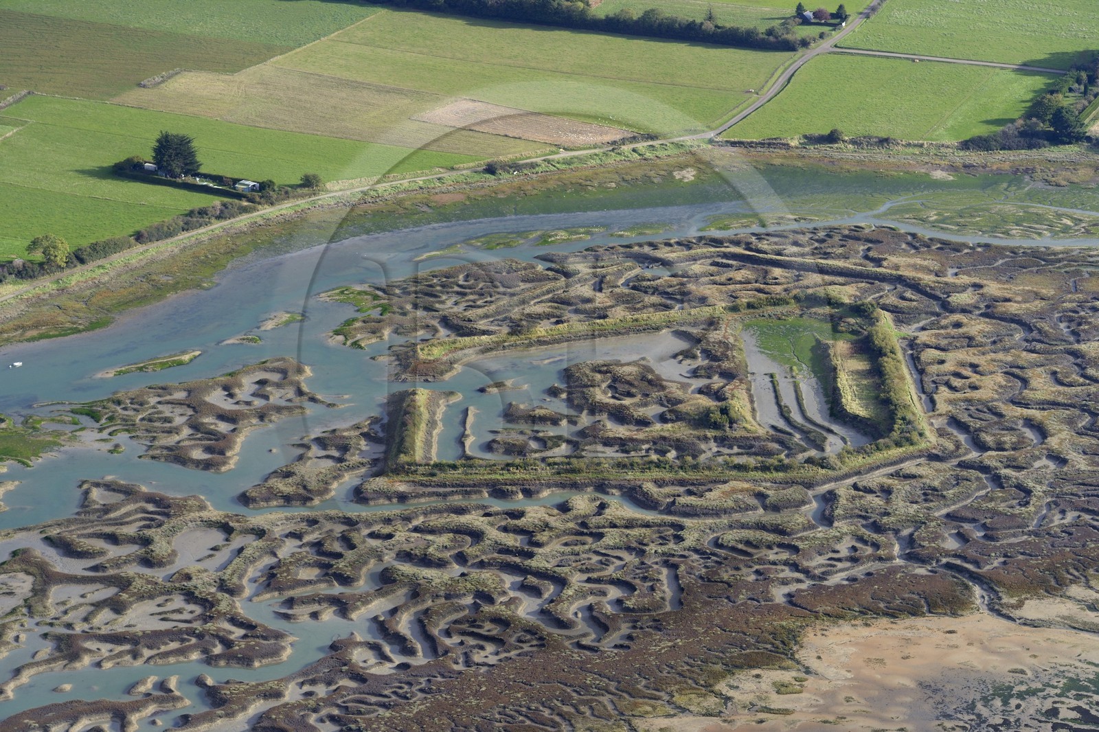 France, Ille-et-Vilaine (35), Saint-Suliac, vestiges d'un camp viking abandonné en 939, cité portuaire dénommée Gardaine avec enceinte fortifiée quadrangulaire (vue aérienne)