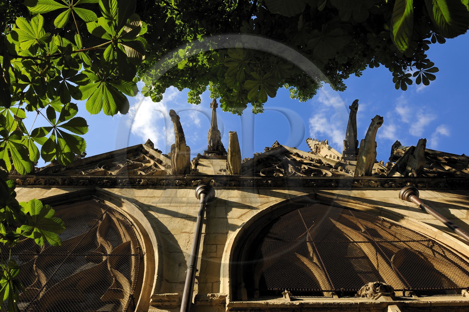 France, Paris (75), Eglise Saint-Séverin