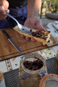 France, Var, the Dracenie, village of Chateaudouble, anchovy paste