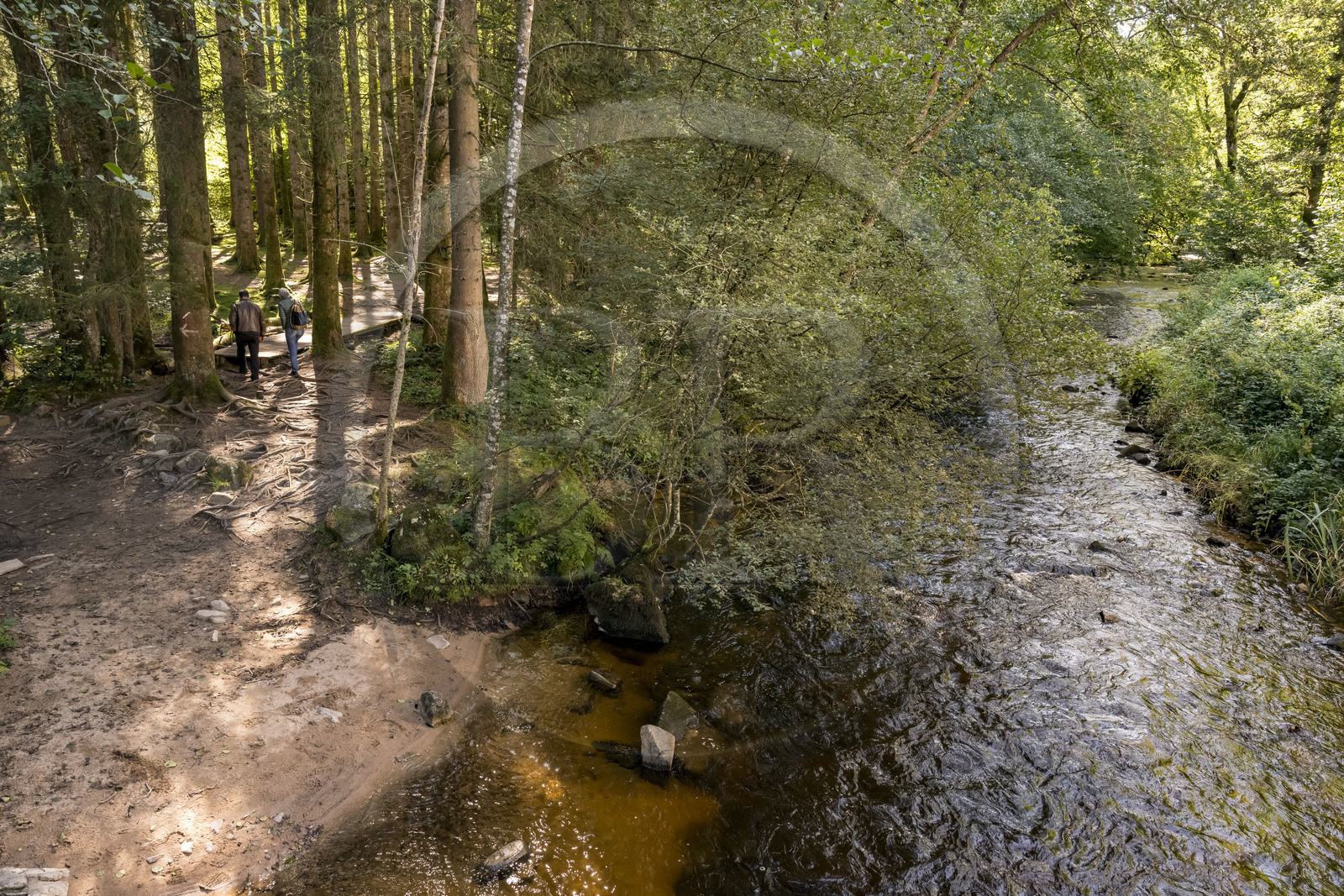 France, Nièvre (58), Parc naturel régional du Morvan, Gouloux, site du Saut de Gouloux et la rivière de la Cure
