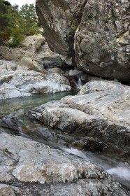 France, Haute-Corse (2B), Vivario, GR 20, étape entre le refuge de l'Onda et Vizzavona, foret de Vizzavona, les cascades des anglais, groupe de cascades dans la vallée de l'Agnone