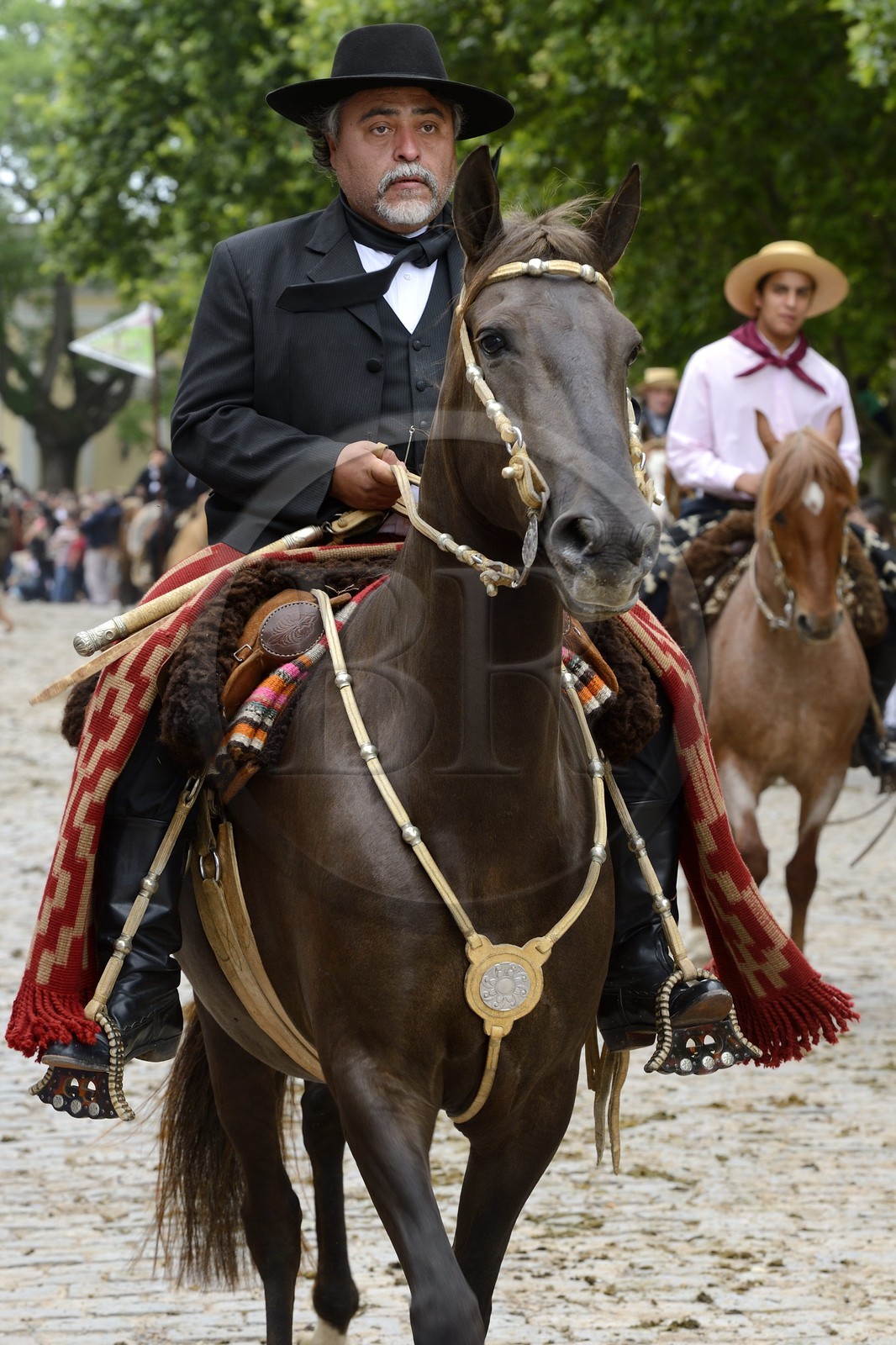 Argentine, province de Buenos Aires, San Antonio de Areco, fête du Jour de la Tradition (Dia de la Tradicion), gaucho à cheval défilant en habit traditionnel, estanciero (gaucho propriétaire d'un ranch)
