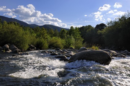 France, Hérault (34), vallée de l' Orb à Tarrassac à coté de Mons la Trivalle, la rivière Orb