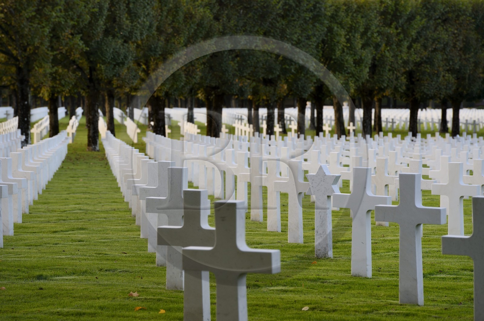 France, Meuse, Romagne-sous-Montfaucon, the World War I Meuse-Argonne American Cemetery and Memorial, the cemetery contains the largest number of American military dead in Europe (14246), Jewish grave in the middle of Christian graves