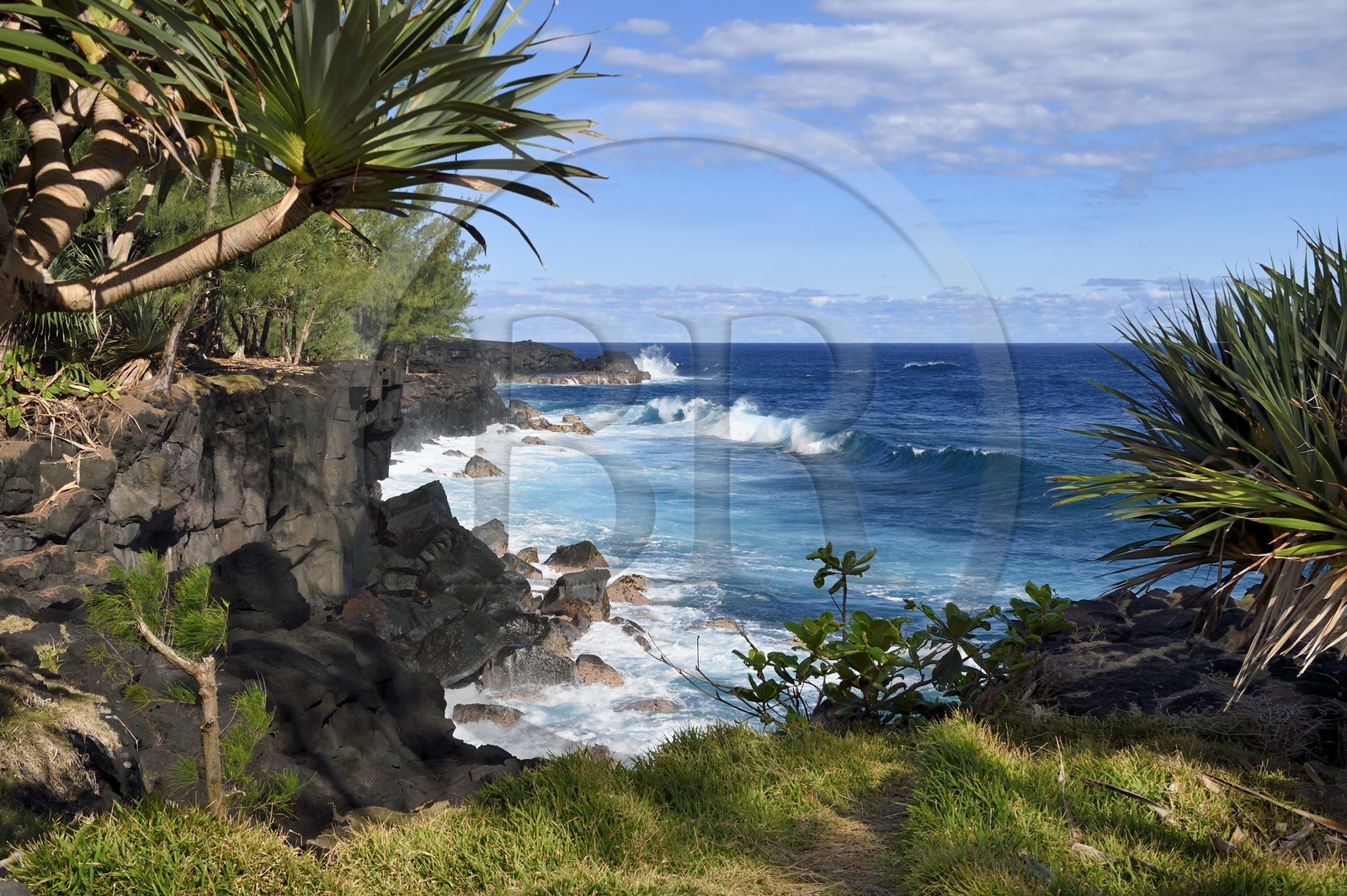 France, Ile de la Reunion, Saint-Philippe, Mare-Longue, roches basaltiques issue d'une coulée de lave en bordure de l'Océan Indien au lieu dit de la Mer Cassée