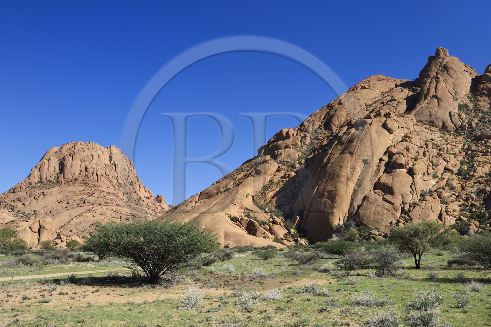 Namibie, région de Erongo, Damaraland, le Spitzkoppe ou Spitzkop (1784 m), montagne granitique dans le désert du Namib