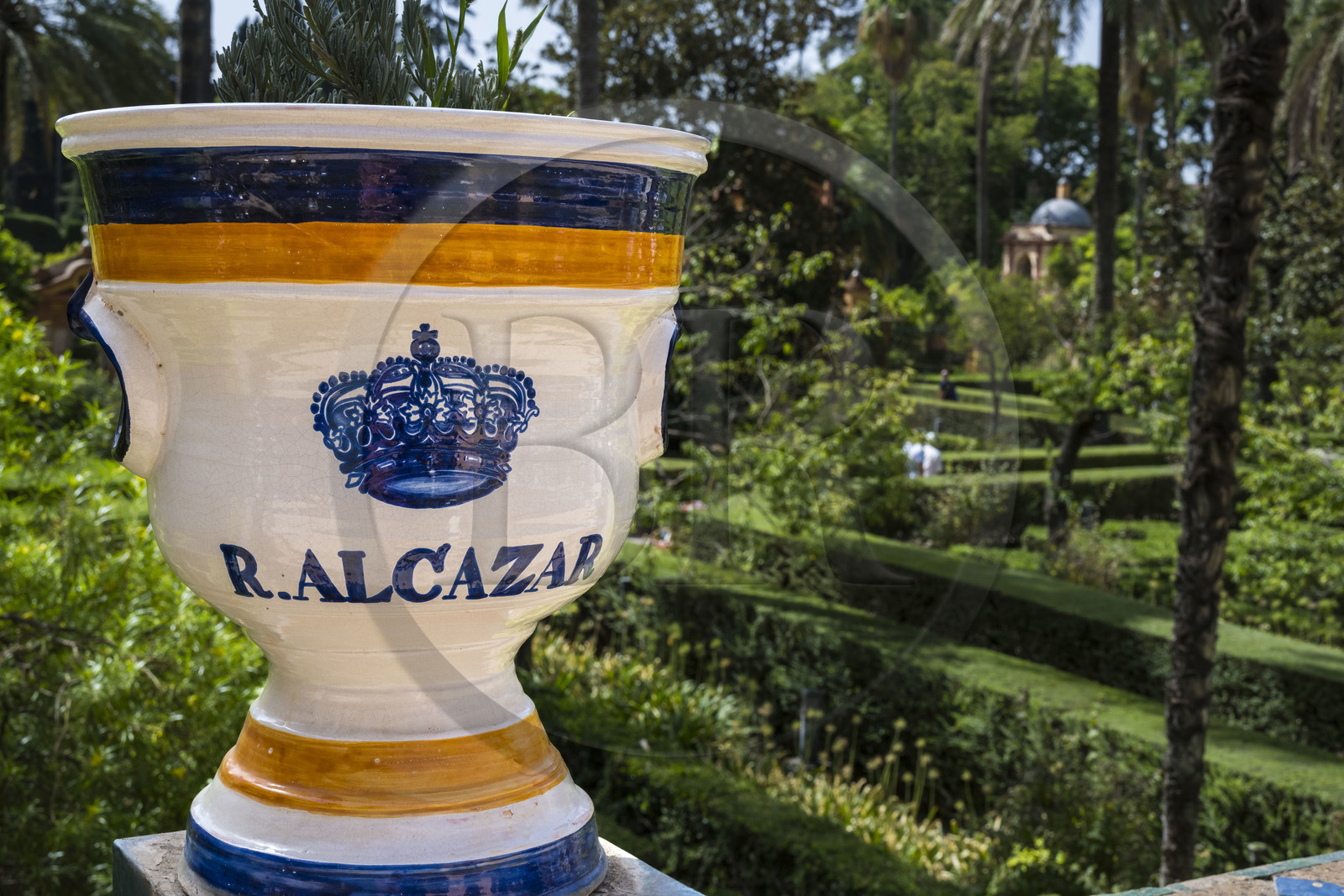 Espagne, Andalousie, Séville, Alcazar de Séville (Reales Alcazares de Sevilla), classé Patrimoine Mondial de l'UNESCO, les jardins