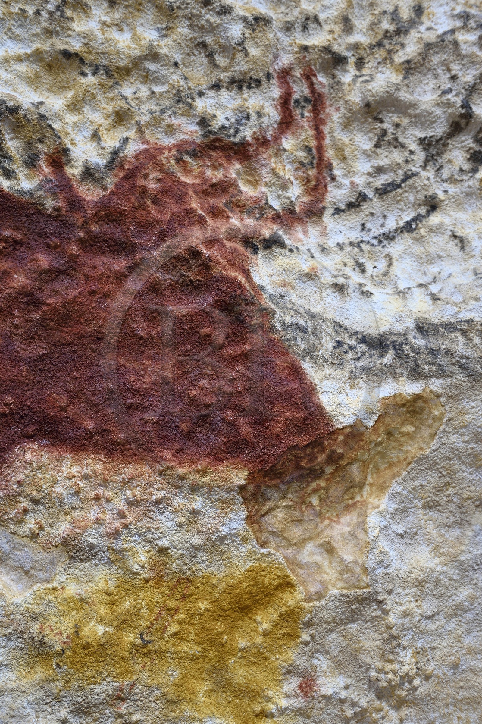 France, Dordogne (24), Montignac, l’Atelier des Fac-Similés du Périgord (AFSP) spécialisé dans la reproduction minérale de parois ornées de la préhistoire et en charge de la reconstitution fidèle des parois de la grotte de Lascaux, Aurochs, mention obligatoire Atelier des Fac-Similés du Périgord