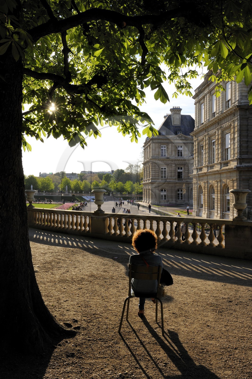 France, Paris (75), jardin du Luxembourg, palais du Luxembourg