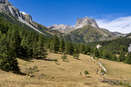 France, Hautes Alpes (05), Névache, la Vallée Étroite à la frontière italienne, hameau les Granges, le Mont Thabor et le Grand Séru (à droite) en arrière plan