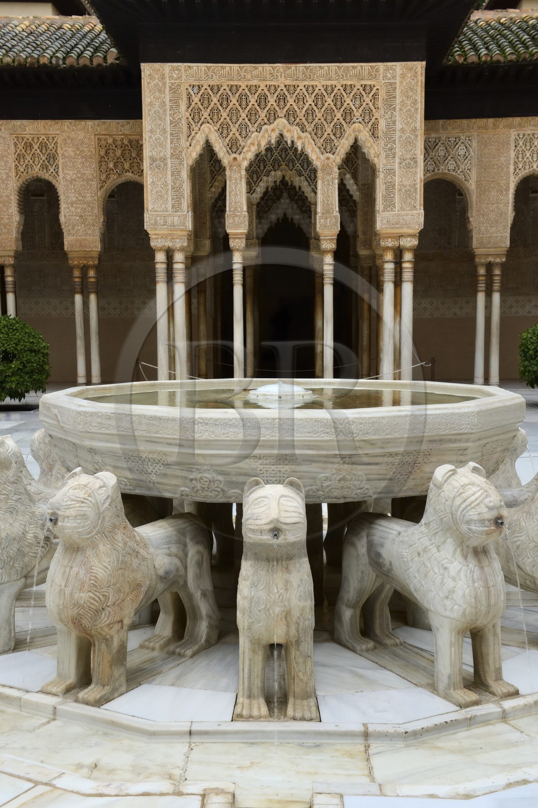Espagne, Andalousie, Grenade, Palais nasrides de l'Alhambra, classé Patrimoine Mondial de l'UNESCO, patio du Palais des Lions (Patio de los Leones)