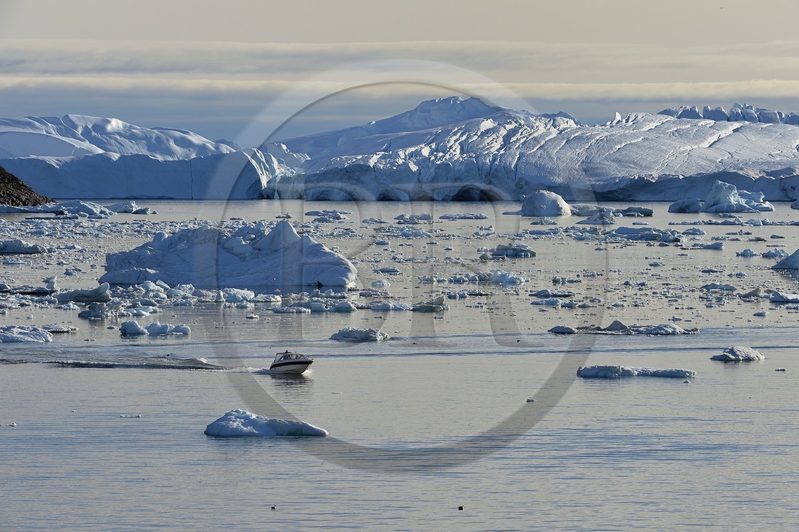 Groenland, cote ouest, baie de Disko, Ilulissat, hors-bord traversant le site du fjord glacé classé Patrimoine Mondial de l'UNESCO