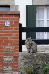 France, Loire-Atlantique (44), Piriac-sur-Mer