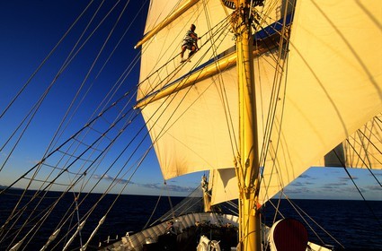 Caraïbes, le 5 mâts SPV Royal Clipper toutes voiles dehors, un marin grimpe dans les voiles