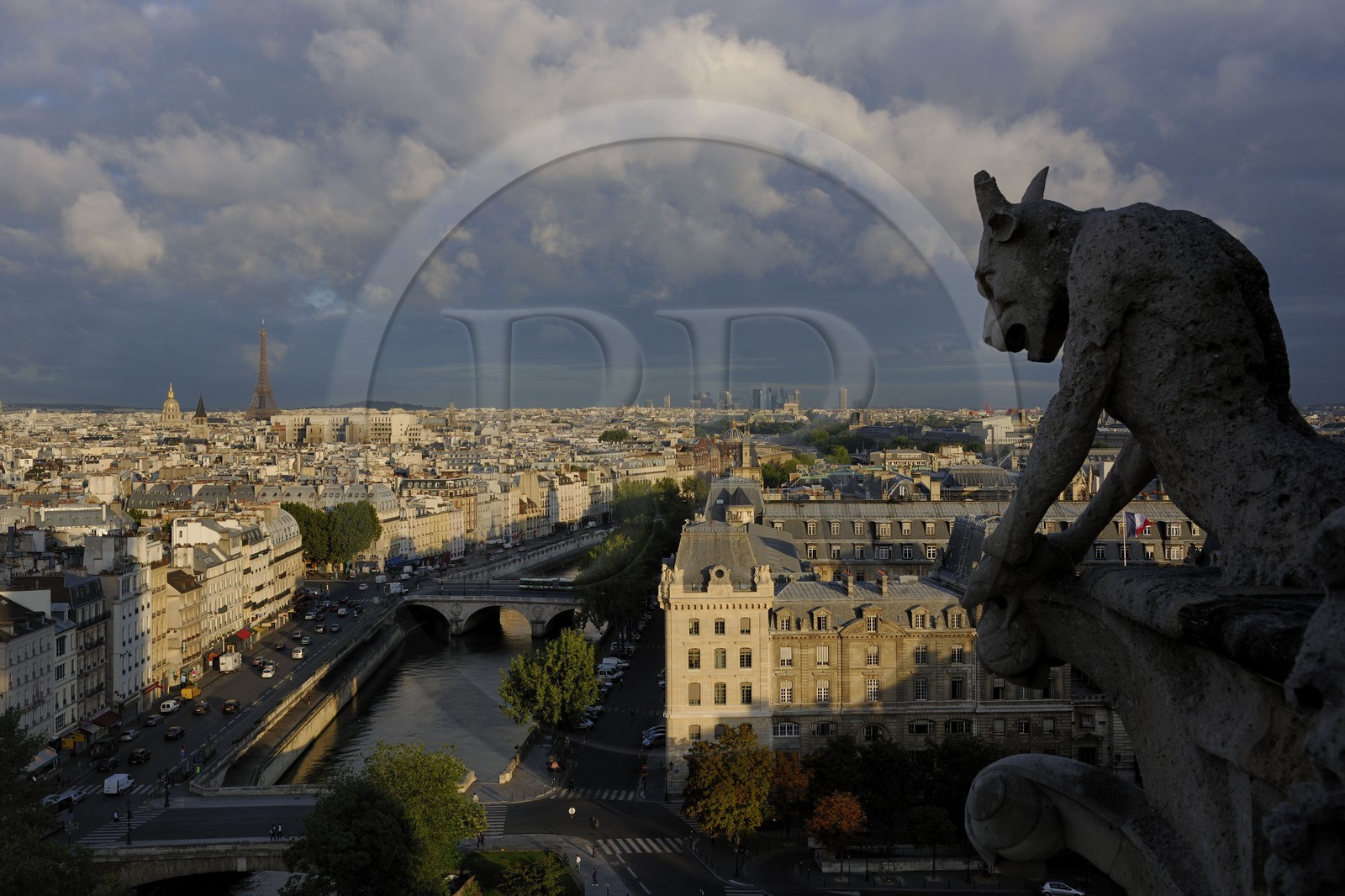 France, Paris (75), île de la Cité, la cathédrale Notre-Dame, les chimères observent la ville