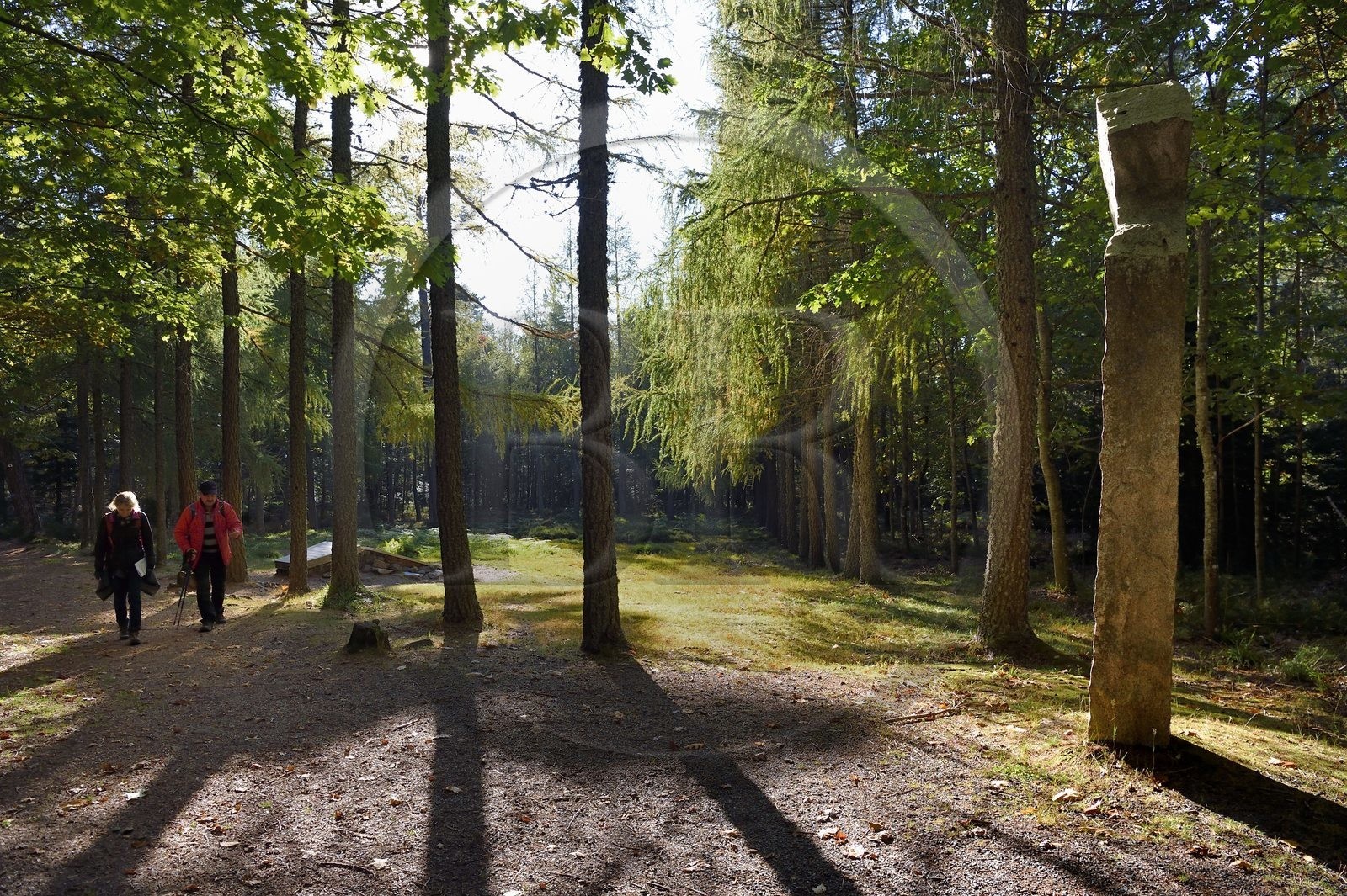 France, Bas Rhin, Ottrott, Mont Sainte-Odile, site of the Airbus A320 crash on January 20, 1992 killing 87 on the heights of La Bloss