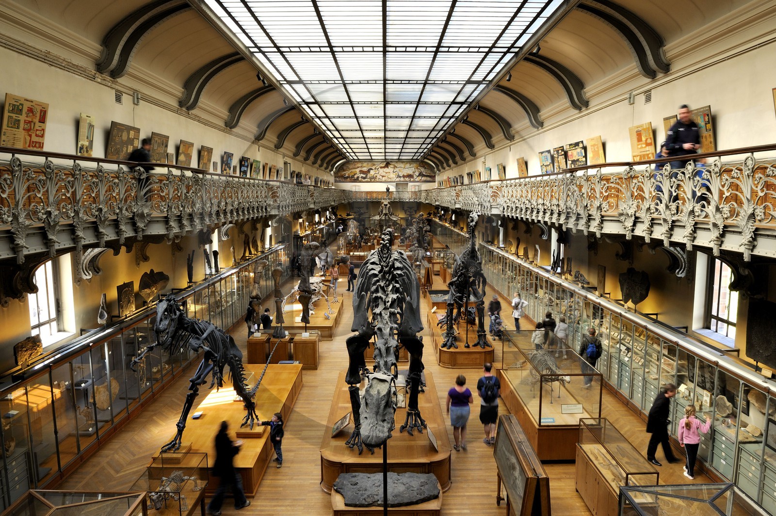 France, Paris (75), Jardin des Plantes, Museum National d'Histoire Naturelle, Galeries de Paléontologie et d'Anatomie comparée