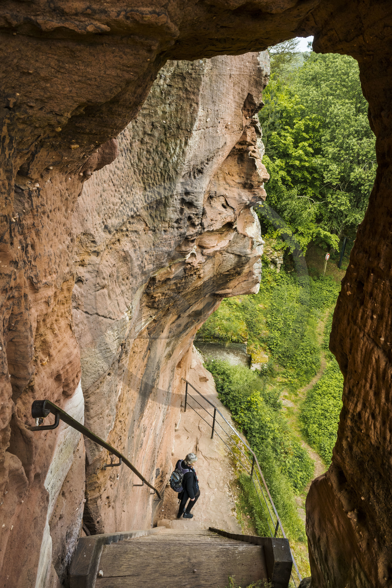 France, Bas-Rhin (67), Parc naturel régional des Vosges du Nord, Obersteinbach, foret domaniale de Steinbach, ruines du chateau de Lutzelhardt