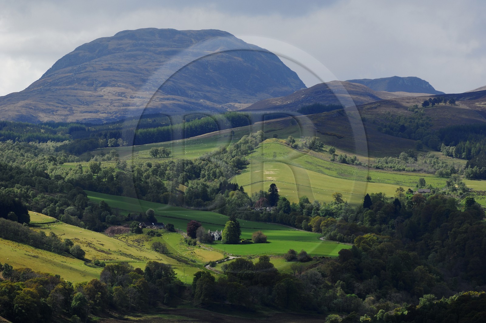 Royaume-Uni, Ecosse, Highlands, le Loch Affric au nord du Loch Ness