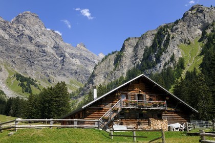 Suisse, canton de Vaud, Villars-sur-Ollon, vallée de Solalex dans le Parc naturel des Muverans