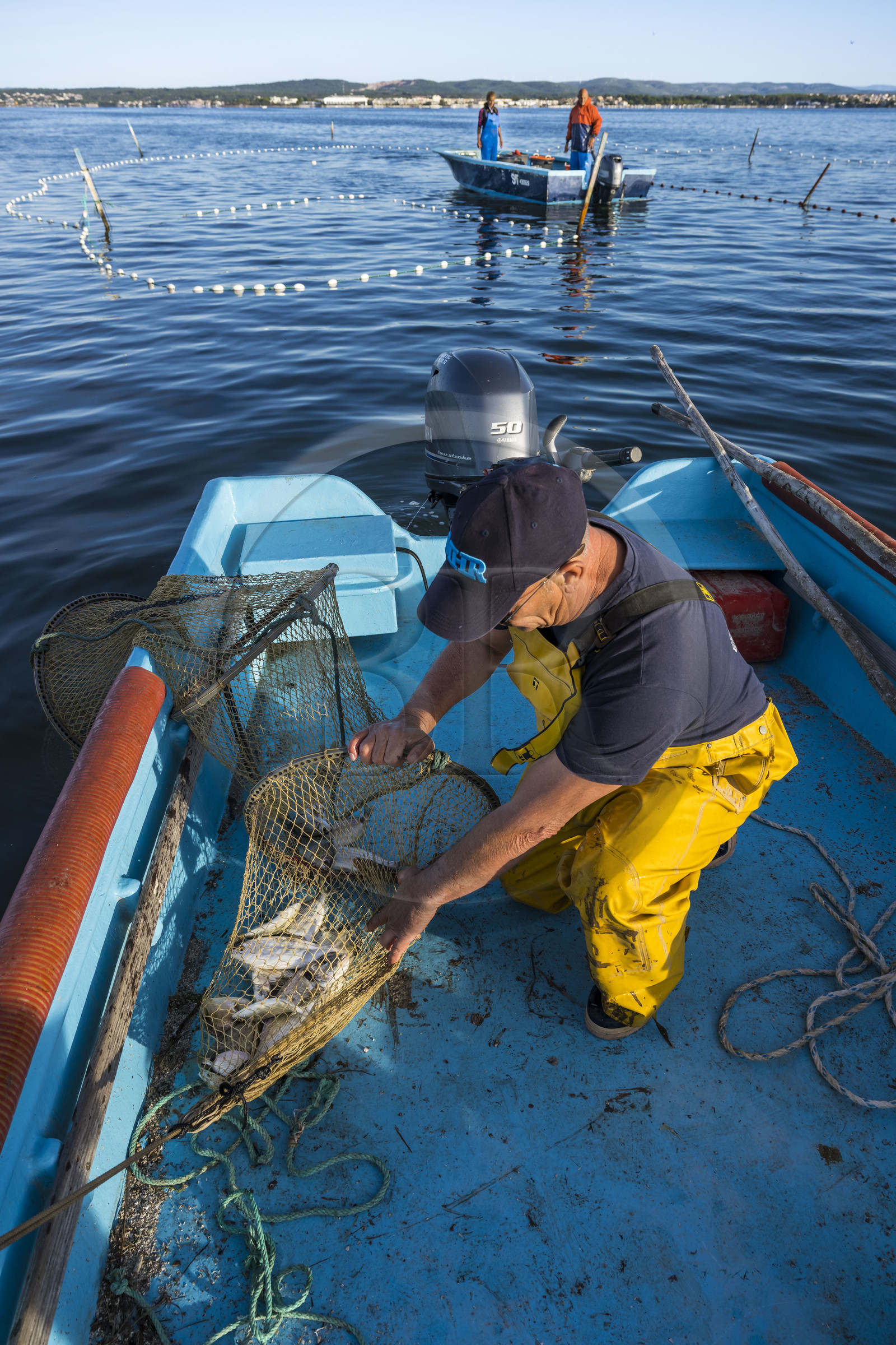 France, Hérault (34), Sète, quartier de la Pointe Courte, le pêcheur Robert Rumeau relève ses filets sur l'étang de Thau