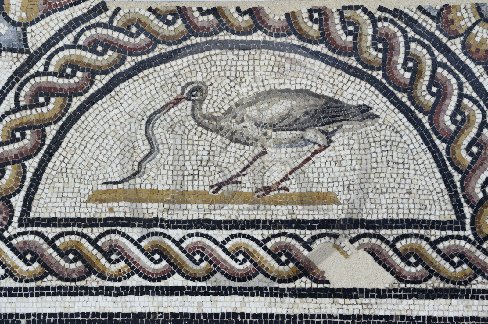 France, Rhone, Lyon, Saint Romain en Gal, Gallo-Roman Museum of Saint-Romain-en-Gal, detail of pavement craters and birds from the end of the 2nd century, mosaic depicting a wader that eats a snake