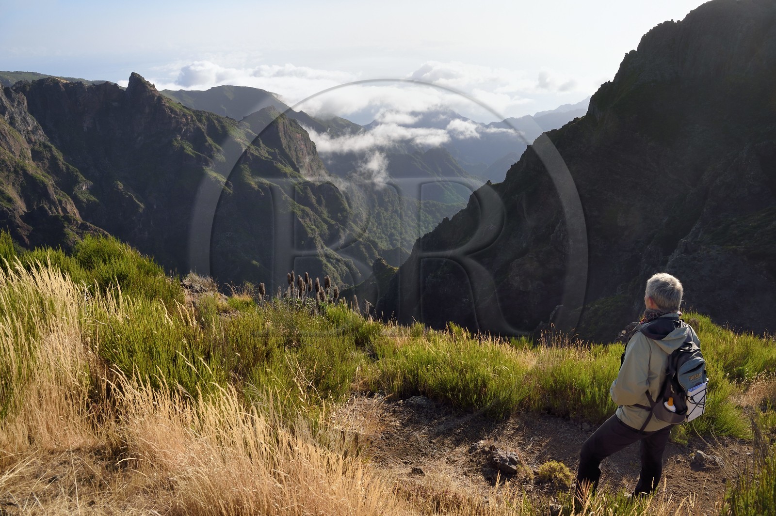 Portugal, Ile de Madère, randonnée sur le Vereda do Areeiro entre les monts Pico Ruivo (1862m) et Pico Arieiro (1817m), randonneuse contemplant la vallée de Faja da Nogueira