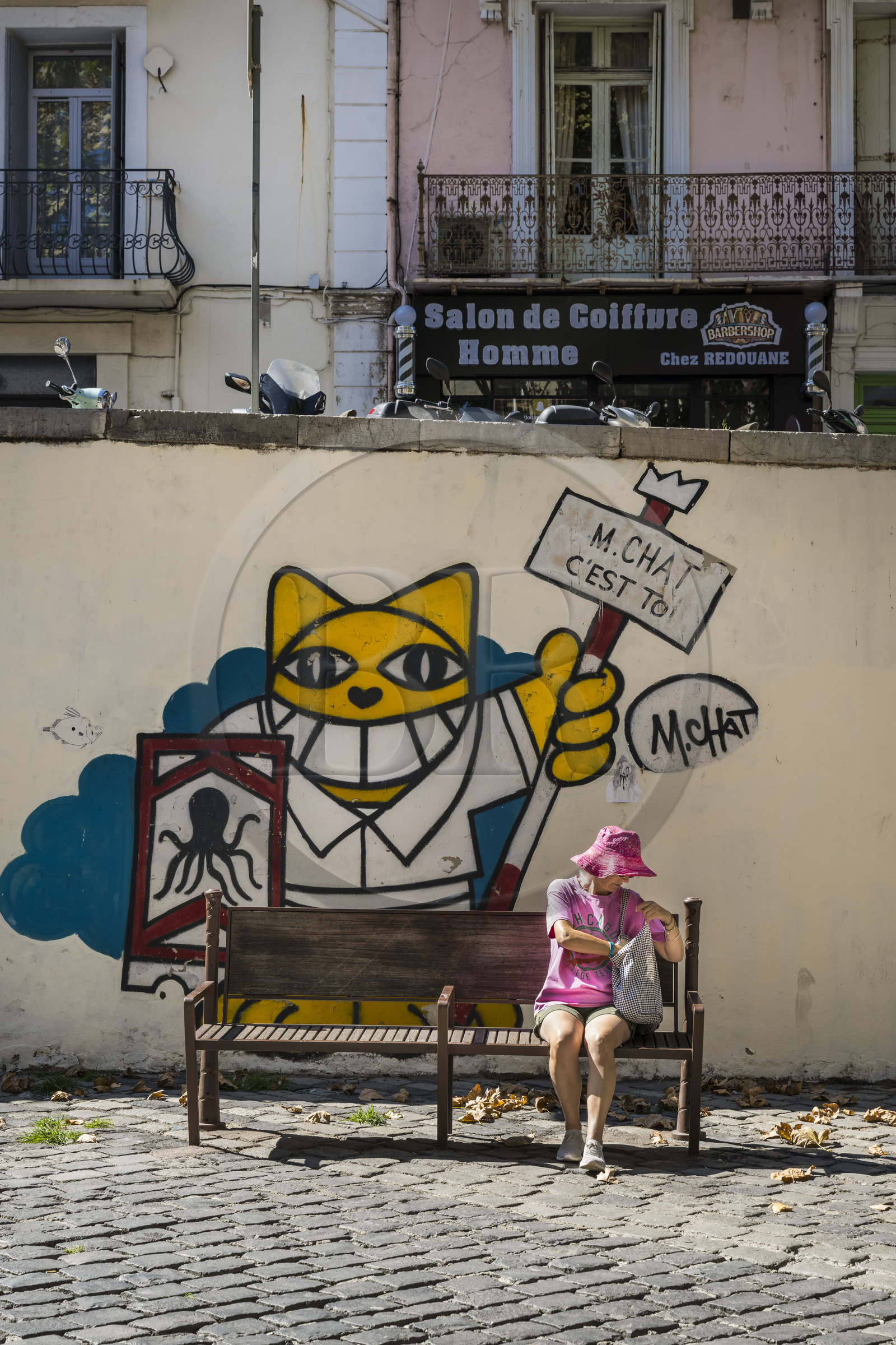 France, Hérault (34), Sète, le Quartier Haut, fresque murale qui fait parti du MACO - Musée à ciel ouvert, Chat c'est toi de l'artiste Mr Chat sur la Place Léon Blum