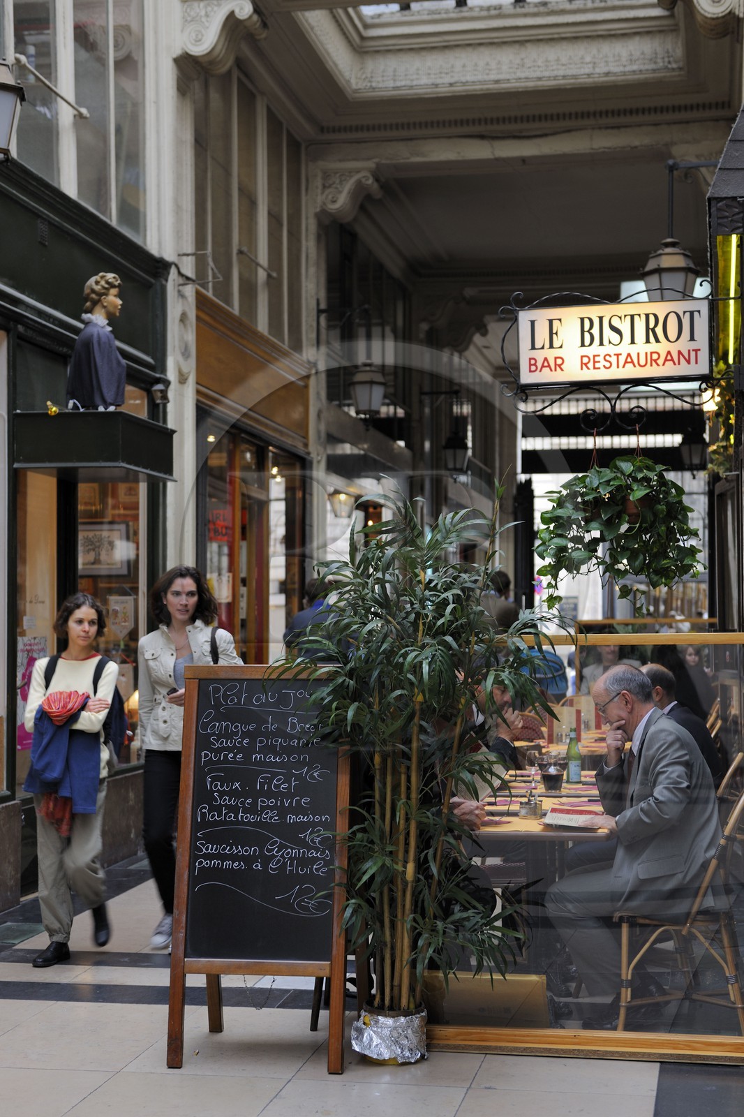 France, Paris (75), Passage Verdeau