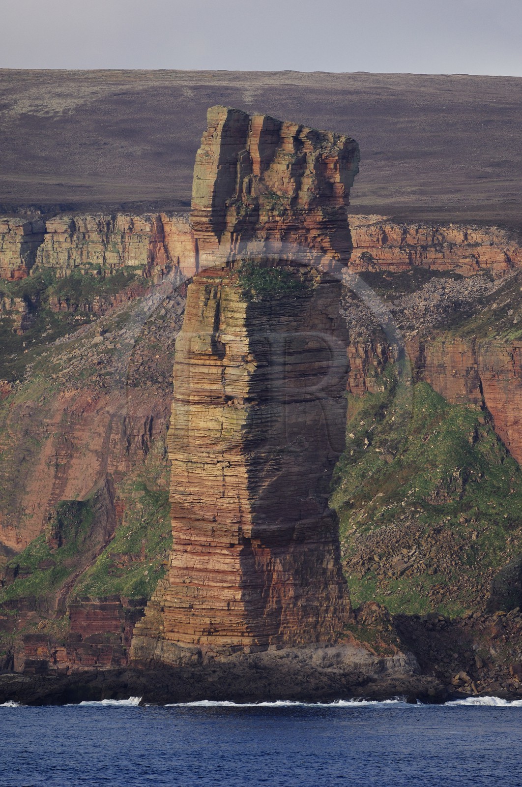Royaume-Uni, Ecosse, Iles Orcades, Ile de Hoy, l'emblème distinctif Old Man of Hoy est un rocher se détachant en mer haut de 137 m (vue aérienne)
