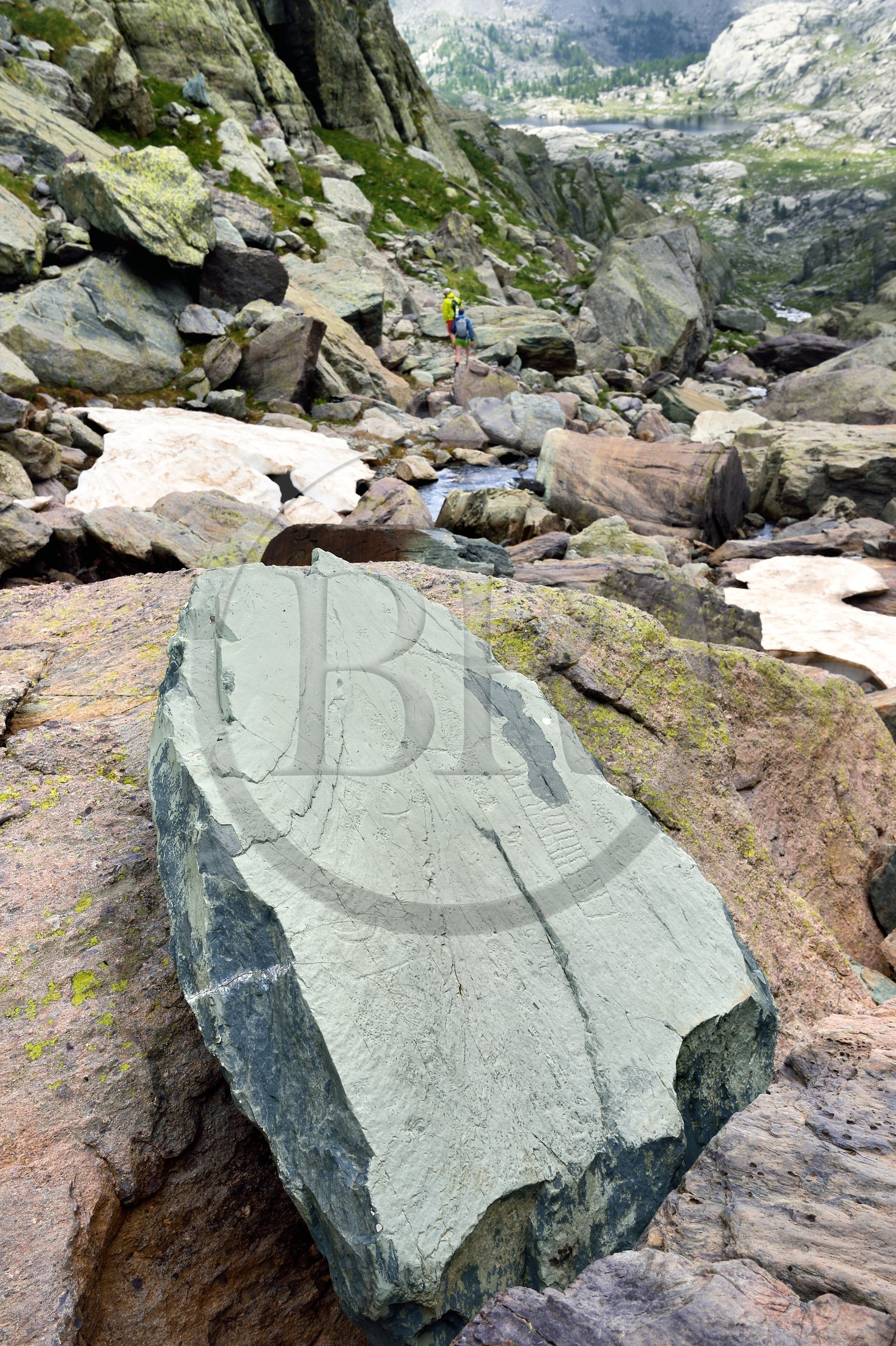 France, Alpes-Maritimes (06), parc national du Mercantour, Vallée des Merveilles parsemée de milliers de gravures rupestres de l'Age de bronze, moulage de la roche gravée dite du Chef de Tribu dont l'original a été déplacée au musée départemental des Merveilles à Tende