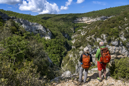 France, Vaucluse (84), Parc naturel régional du Mont Ventoux, Monieux, Gorges de La Nesque, randonneurs sur les hauteurs face au barres rocheuses