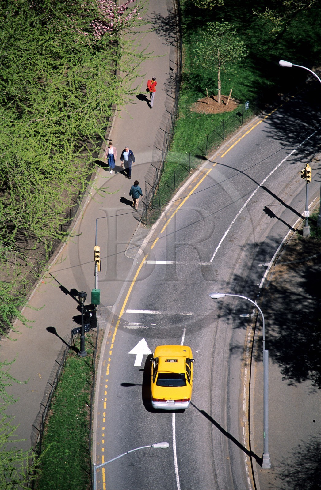United States, New York City, Manhattan, Central Park